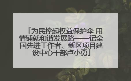 为民撑起权益保护伞 用情铺就和谐发展路——记全国先进工作者、新区项目建设中心干部卢小勇
