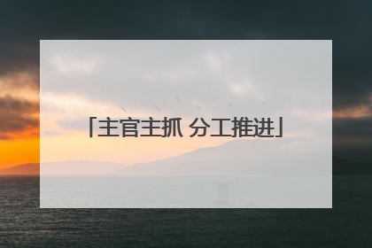 主官主抓 分工推进