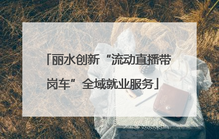 丽水创新“流动直播带岗车”全域就业服务