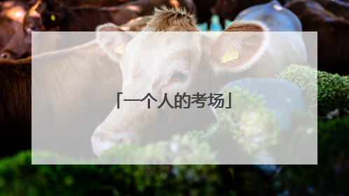 一个人的考场