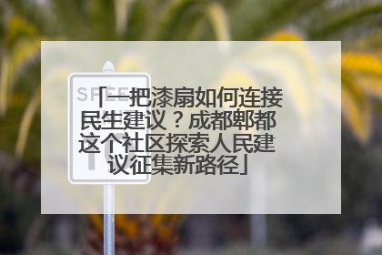 一把漆扇如何连接民生建议？成都郫都这个社区探索人民建议征集新路径