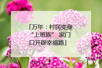 万年：村民变身“上班族” 家门口开辟幸福路