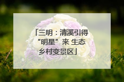 三明：清溪引得“明星”来 生态乡村变景区
