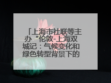 上海市社联等主办“伦敦-上海双城记：气候变化和绿色转型背景下的考古、历史和文化遗产”学术对话