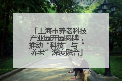 上海市养老科技产业园开园揭牌，推动“科技”与“养老”深度融合