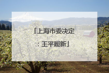 上海市委决定：王平履新