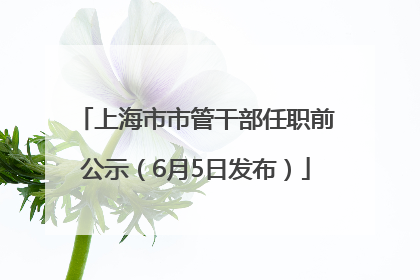 上海市市管干部任职前公示（6月5日发布）