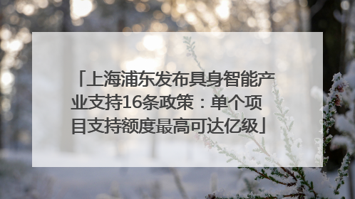 上海浦东发布具身智能产业支持16条政策：单个项目支持额度最高可达亿级