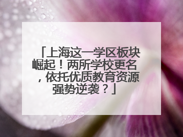 上海这一学区板块崛起！两所学校更名，依托优质教育资源强势逆袭？