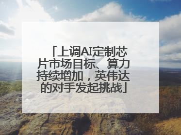 上调AI定制芯片市场目标、算力持续增加，英伟达的对手发起挑战