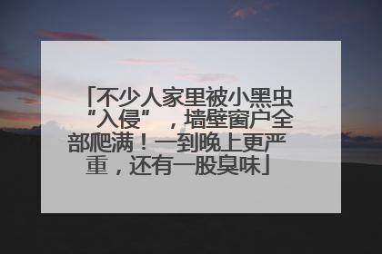 不少人家里被小黑虫“入侵”，墙壁窗户全部爬满！一到晚上更严重，还有一股臭味