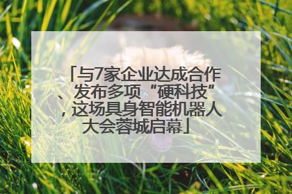 与7家企业达成合作、发布多项“硬科技”，这场具身智能机器人大会蓉城启幕