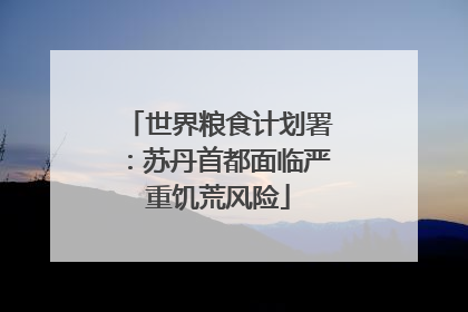 世界粮食计划署：苏丹首都面临严重饥荒风险