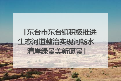 东台市东台镇积极推进生态河道整治实现河畅水清岸绿景美新愿景