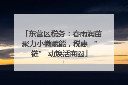 东营区税务：春雨润苗聚力小微赋能，税惠 “链” 动焕活商圈