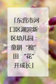 东营市河口区湖滨新区幼儿园：童耕“棉”田 “花”开成长
