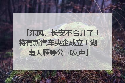 东风、长安不合并了！将有新汽车央企成立！湖南天雁等公司发声