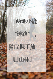 两地小鹿“迷路”，警民携手放归山林