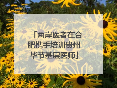 两岸医者在合肥携手培训贵州毕节基层医师