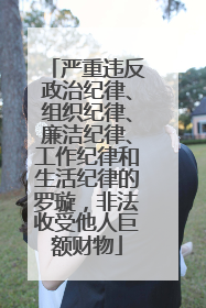 严重违反政治纪律、组织纪律、廉洁纪律、工作纪律和生活纪律的罗璇，非法收受他人巨额财物