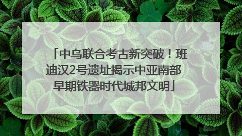 中乌联合考古新突破！班迪汉2号遗址揭示中亚南部早期铁器时代城邦文明