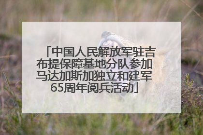 中国人民解放军驻吉布提保障基地分队参加马达加斯加独立和建军65周年阅兵活动