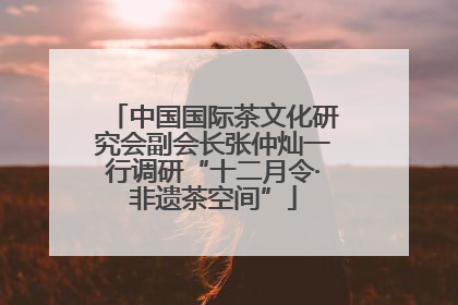 中国国际茶文化研究会副会长张仲灿一行调研“十二月令·非遗茶空间”