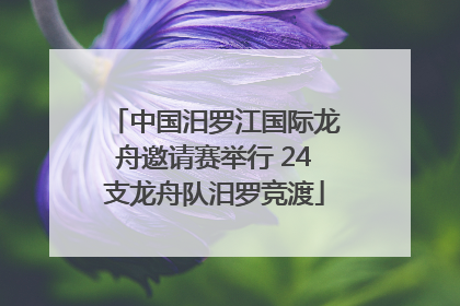 中国汨罗江国际龙舟邀请赛举行 24支龙舟队汨罗竞渡