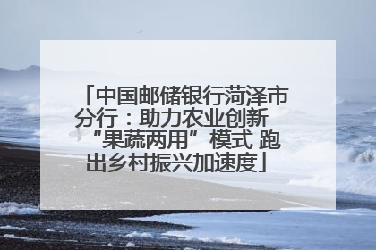 中国邮储银行菏泽市分行：助力农业创新 “果蔬两用”模式 跑出乡村振兴加速度