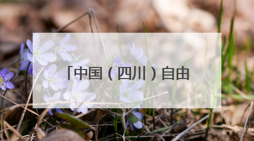 中国（四川）自由贸易试验区川南临港片区党工委书记谭荣兵一行赴岳阳城陵矶综保区考察