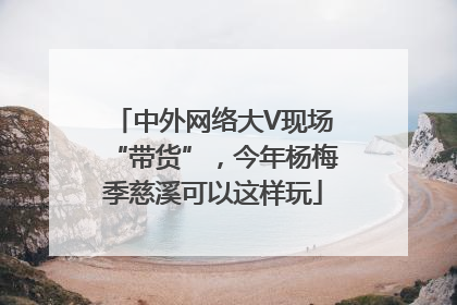 中外网络大V现场“带货”，今年杨梅季慈溪可以这样玩
