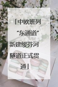 中欧班列“东通道”新建绥芬河隧道正式贯通