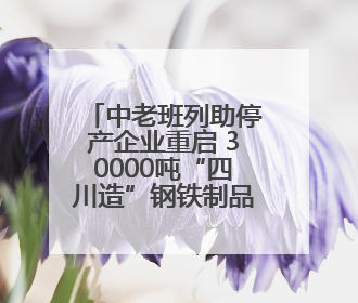 中老班列助停产企业重启 30000吨“四川造”钢铁制品出口老挝