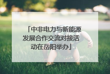 中非电力与新能源发展合作交流对接活动在岳阳举办