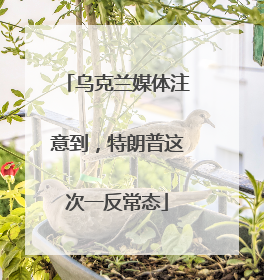 乌克兰媒体注意到，特朗普这次一反常态