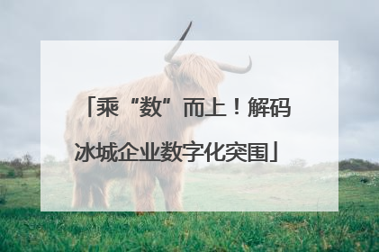 乘“数”而上！解码冰城企业数字化突围