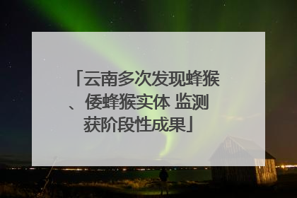 云南多次发现蜂猴、倭蜂猴实体 监测获阶段性成果