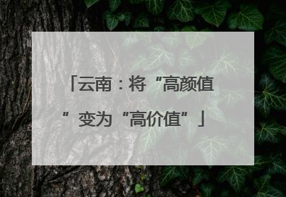 云南：将“高颜值”变为“高价值”