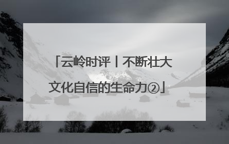云岭时评丨不断壮大文化自信的生命力②