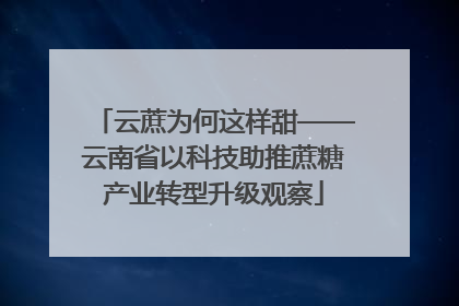 云蔗为何这样甜——云南省以科技助推蔗糖产业转型升级观察