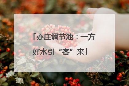 亦庄调节池：一方好水引“客”来