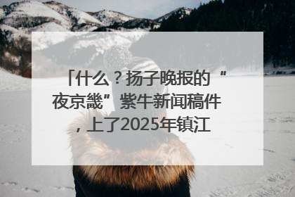 什么？扬子晚报的“夜京畿”紫牛新闻稿件，上了2025年镇江中考模拟卷！