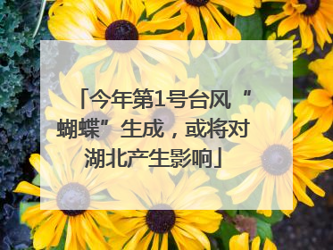 今年第1号台风“蝴蝶”生成，或将对湖北产生影响