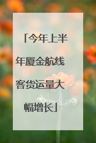 今年上半年厦金航线客货运量大幅增长