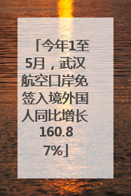 今年1至5月，武汉航空口岸免签入境外国人同比增长160.87%