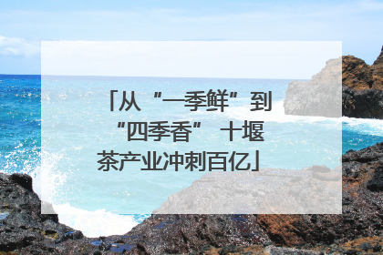从“一季鲜”到“四季香” 十堰茶产业冲刺百亿