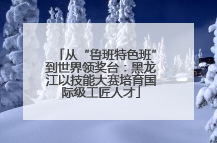 从“鲁班特色班”到世界领奖台：黑龙江以技能大赛培育国际级工匠人才