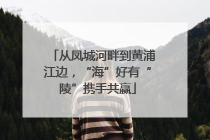 从凤城河畔到黄浦江边，“海”好有“陵”携手共赢