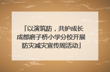 以演筑防，共护成长 成都磨子桥小学分校开展防灾减灾宣传周活动