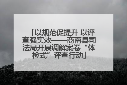 以规范促提升 以评查强实效——商南县司法局开展调解案卷“体检式”评查行动
